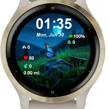 Nature Butterfly Garmin watch face preview
