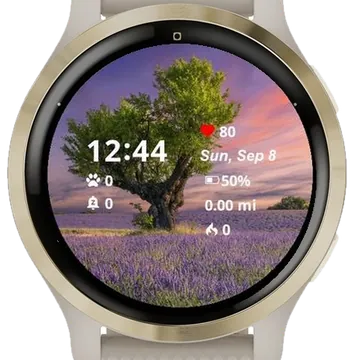 Nature Landscape 1 Garmin watch face preview