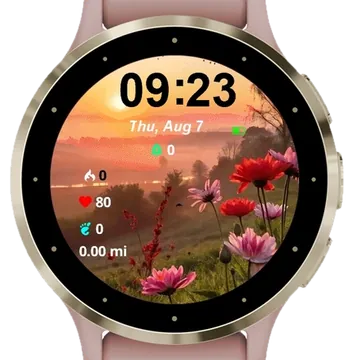 Nature Landscape View Garmin watch face preview