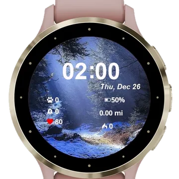 Nature Winter Landscape Garmin watch face preview