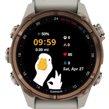 Ok Duck Garmin watch face preview