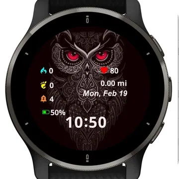 Owl Garmin watch face preview