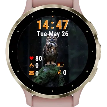 Owl Sitting Top Rock Rain Garmin watch face preview