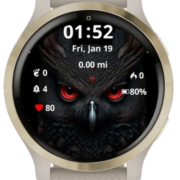 Owl Garmin watch face preview