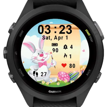 Painting Bunny Garmin watch face preview