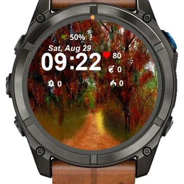 Painting Dirt Road Trees Grass Garmin watch face preview