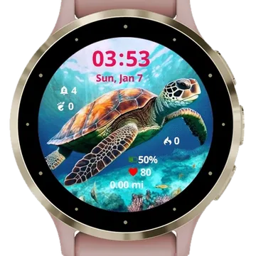 Painting Turtle Garmin watch face preview