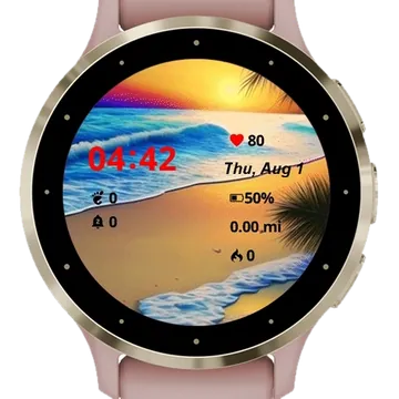 Palm Sea Beach Garmin watch face preview