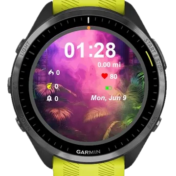 Palm Tree Garmin watch face preview
