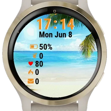 Palm Tree Beach Ocean Garmin watch face preview