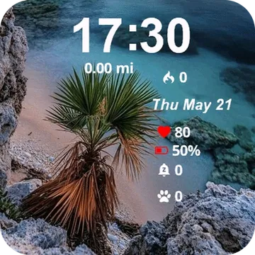 Palm Tree Beach Garmin watch face preview