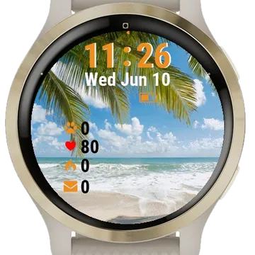 Palm Trees Beach Garmin watch face preview