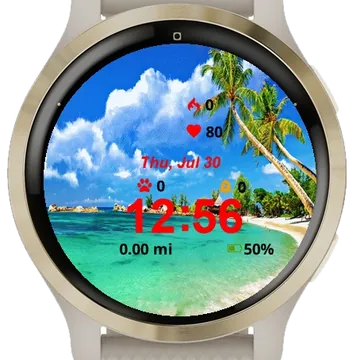 Palm Trees Line Shore Tropical Garmin watch face preview