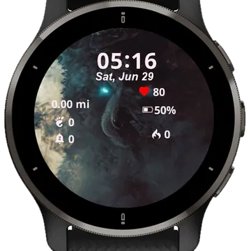 Panda Animal Garmin watch face preview