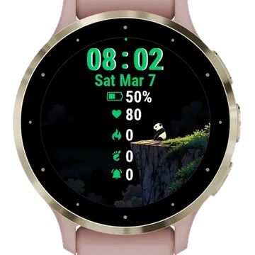 Panda Looking At Moon Garmin watch face preview