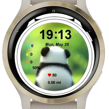 Panda Pins Garmin watch face preview