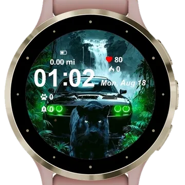 Panter Garmin watch face preview