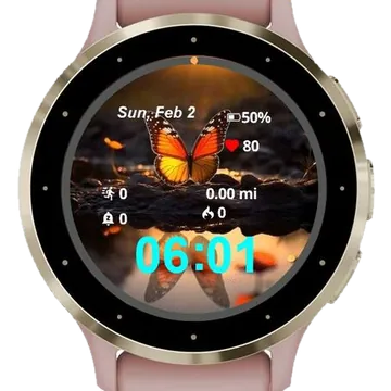 Papel de Butterfly Garmin watch face preview