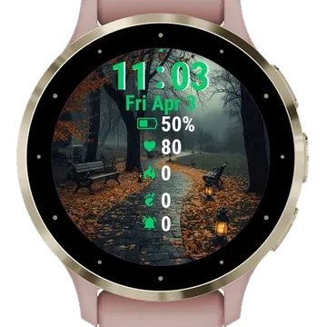 Park Bench Lantern Garmin watch face preview