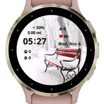 Park Snow Winter Garmin watch face preview