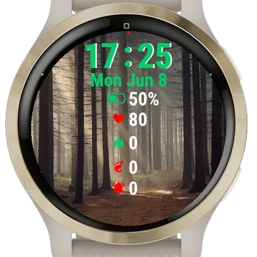 Path Through Forest Garmin watch face preview