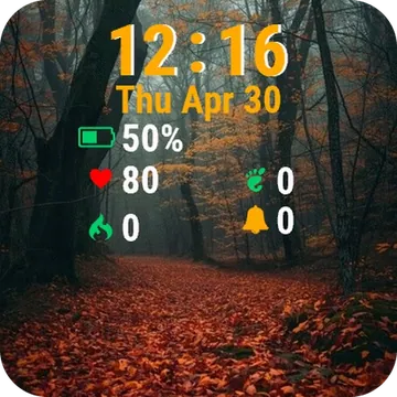 Path Through Forest Leaves Ground Garmin watch face preview