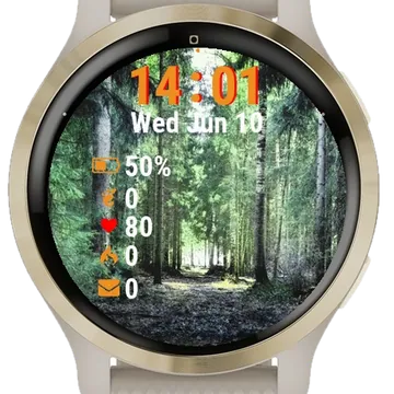 Path Through Forest Garmin watch face preview