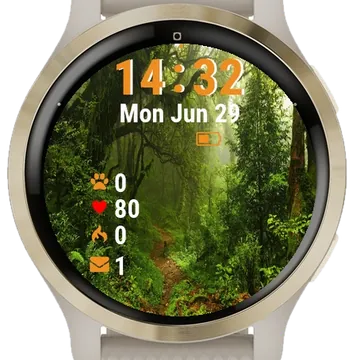 Path Through Jungle Garmin watch face preview