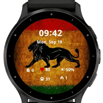 Patriot Tiger Garmin watch face preview