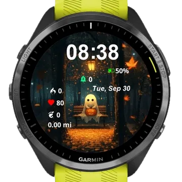 Phantom Garmin watch face preview