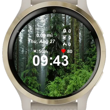 Picture Forest Many Trees Garmin watch face preview