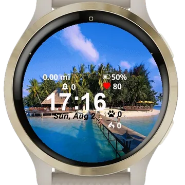 Pier Leading Small Island Garmin watch face preview