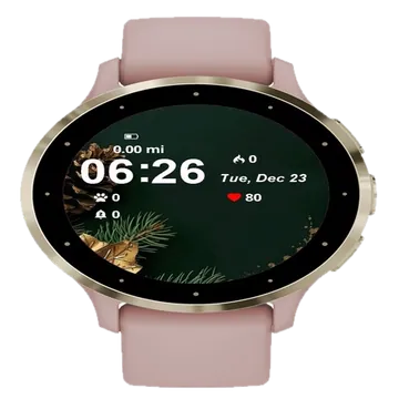 Pine Cones Gold Garmin watch face preview