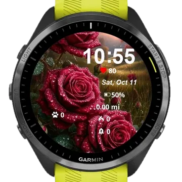 Pink Roses Garmin watch face preview