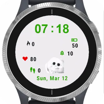 Please Garmin watch face preview