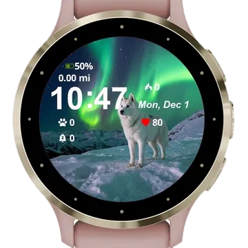 Polar Bear Snow Aurora Garmin watch face preview
