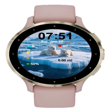 Polar Bears Arctic Garmin watch face preview
