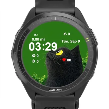 Portrait Cat Garmin watch face preview
