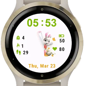 Poster Bunny Garmin watch face preview