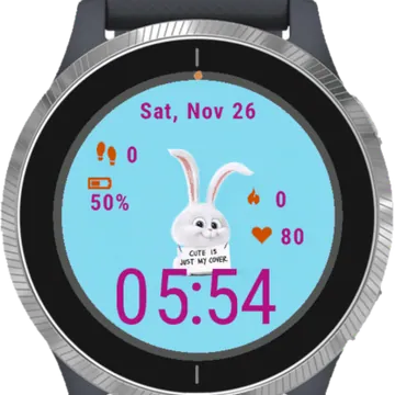 Poster Cartoons Rrabbit Garmin watch face preview