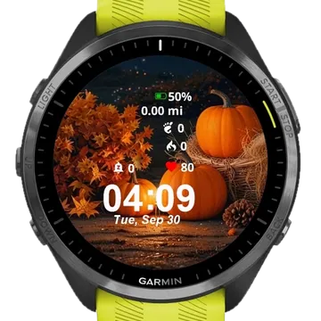 Pumpkins Garmin watch face preview