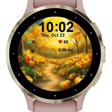 Pumpkins Background Garmin watch face preview