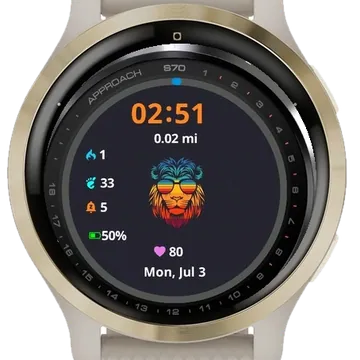 Rainbow Leon 2 Garmin watch face preview