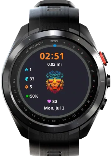 Rainbow Leon Garmin watch face preview