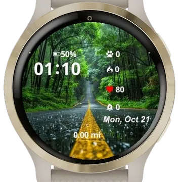 Rainy Pathway Garmin watch face preview