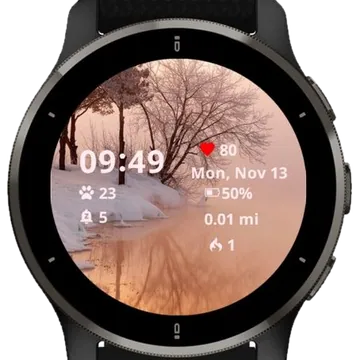 Realistic Winter Nature Garmin watch face preview