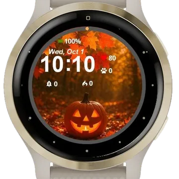 Rickards Art Garmin watch face preview