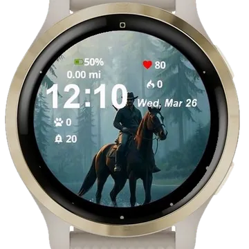 Rider of the Mist Garmin watch face preview