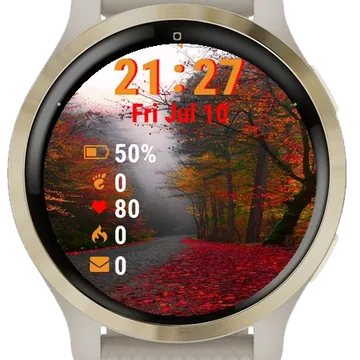 Road Has Fallen Leaves Garmin watch face preview