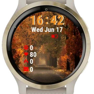 Road Lined Trees Covered Fall Garmin watch face preview